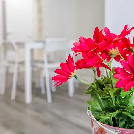 Apartamento Dama De Noche *