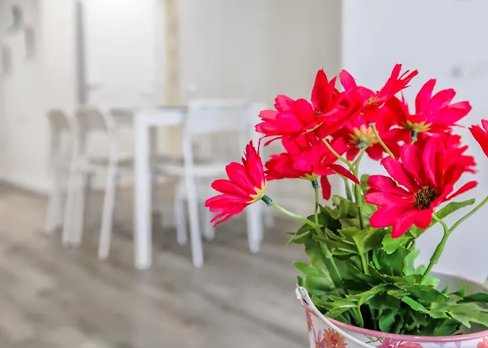 アパート Dama De Noche *