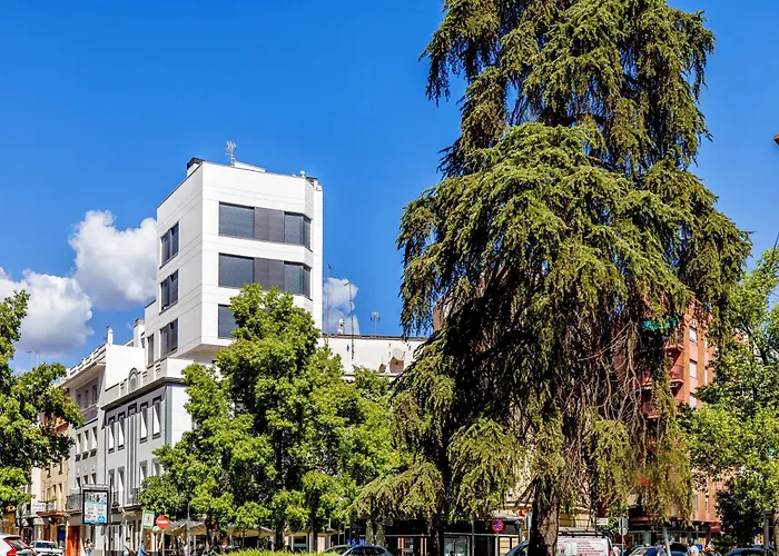 Dama De Noche コルドバ