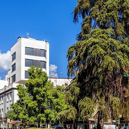 Dama De Noche Córdova